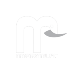 Marmut